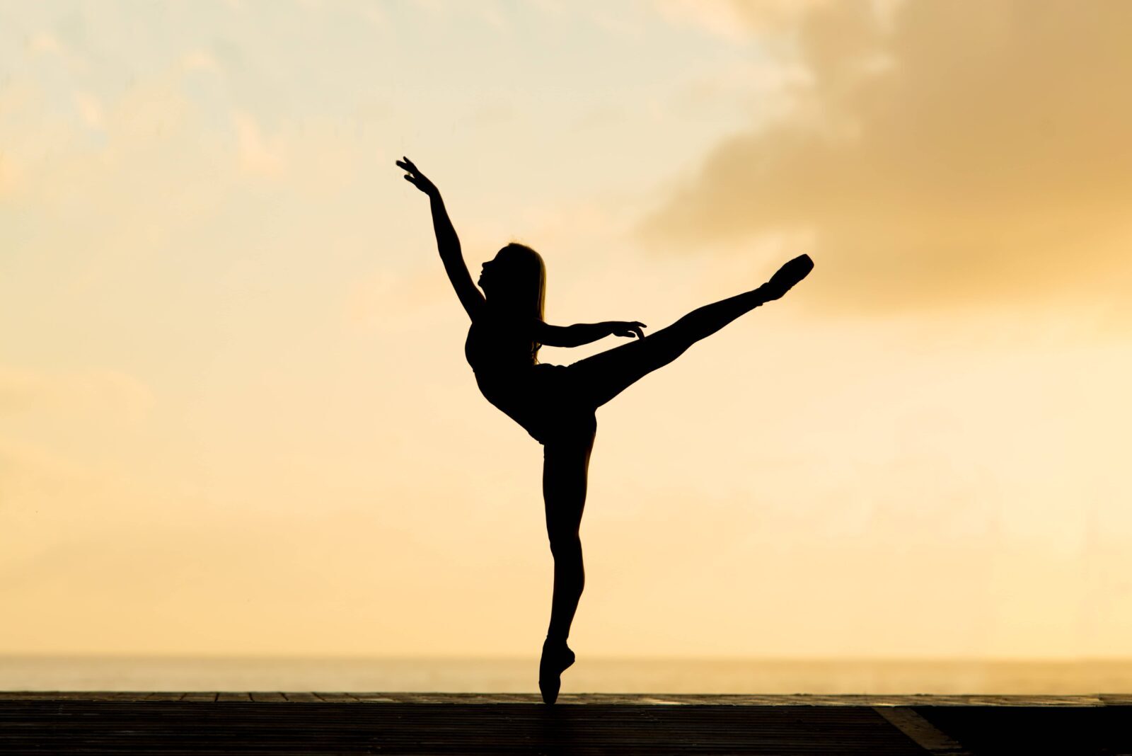 Ballet Dancer Performing